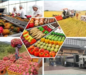 Xuất khẩu nông, lâm sản “bùng nổ”